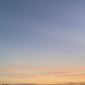 Meet your Posher, Kaitlin